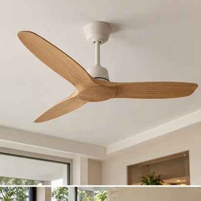 Ceiling Fans — Indoor; representative concept