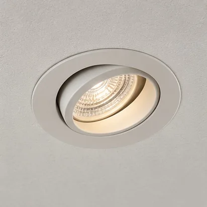 Downlights — Adjustable; representative concept