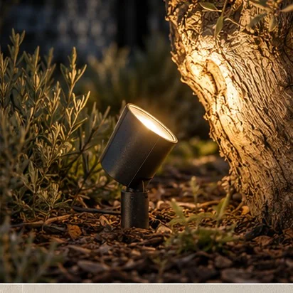 External Lighting — Feature uplight; representative concept